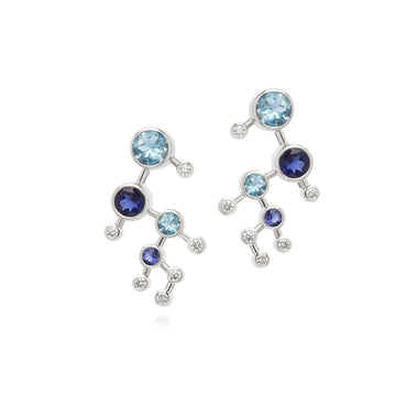 Dendritic Aquamarine & Iolite Earrings